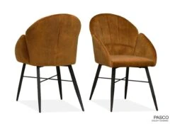 Pasco Stoel Goldy Cognac