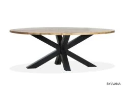 Tafel Sylvana Ovaal 200x100