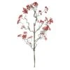 Zijde Crataegus Berry Rood