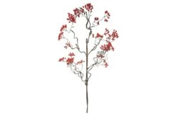 Zijde Crataegus Berry Rood