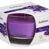 Bolsius Geurglas 63/90 True Scents 92x92x64 Lavender