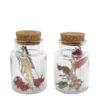 Droogbloemen In Medicijnfles S Met Kurk 2ass 7x7x10cm