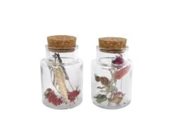 Droogbloemen In Medicijnfles S Met Kurk 2ass 7x7x10cm