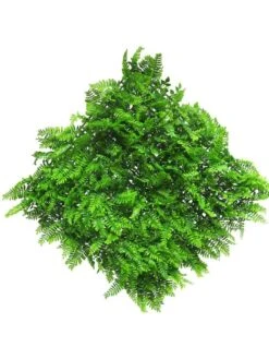 Fern Mat (6 Month UV-protected) Green 50x50cm