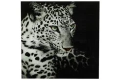 Schilderij Luipaard C Vk Wild Life L Zwart/wit-L0,4B80H80CM