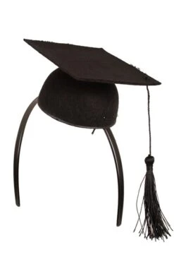 Afstudeerhoedje Op Haarbeugel