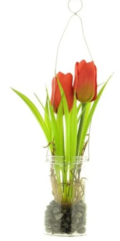 Tulip Yara In Glass Pot W/hanger Red 24cm