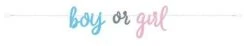 Letterslinger Gender Reveal 213 Cm