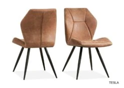 Tesla Stoel