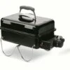Weber Go Anywhere Gas